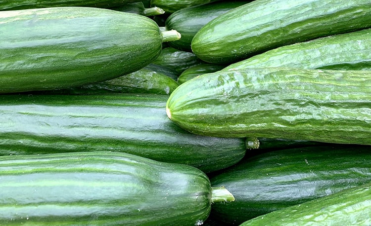 Pepino